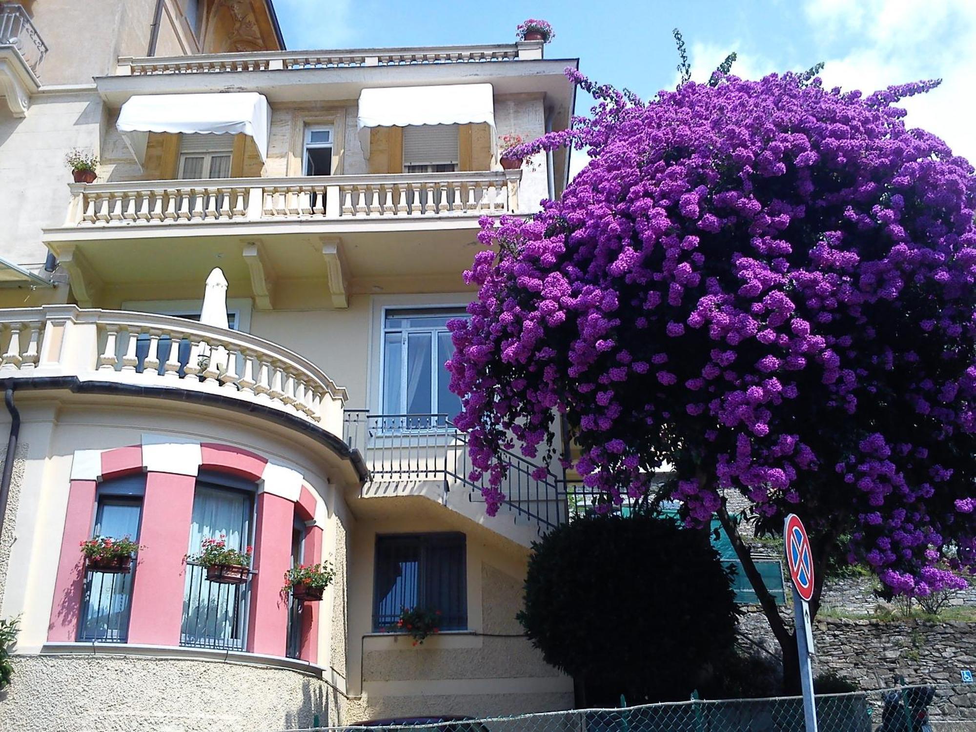 Hotel Canali, Portofino Coast Rapallo Eksteriør billede